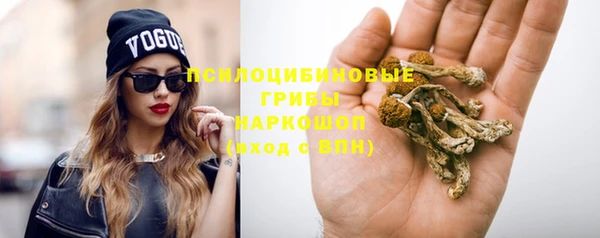 крисы Армянск