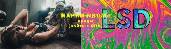 крисы Армянск