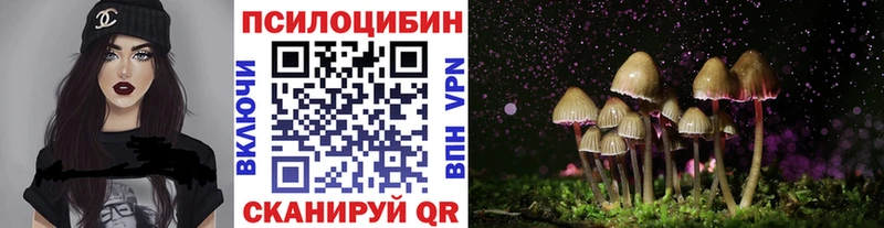 Псилоцибиновые грибы Cubensis  даркнет сайт  Сухой Лог 
